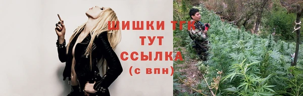 прущие грибы Баксан