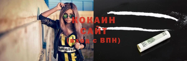 прущие грибы Баксан