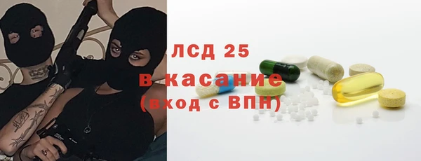 прущие грибы Баксан