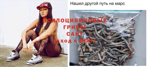 прущие грибы Баксан