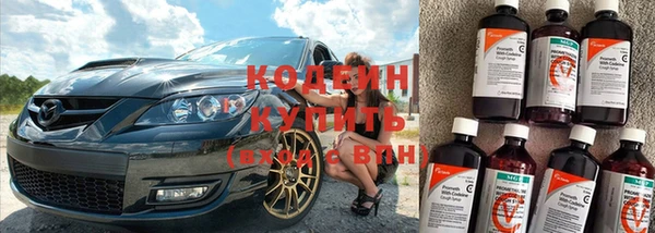прущие грибы Баксан