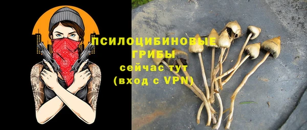 кристаллы Осинники