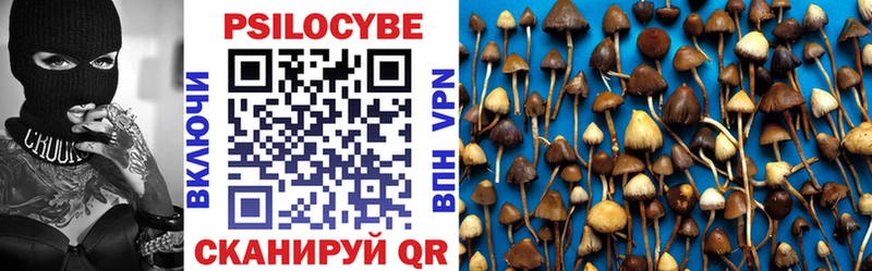 OMG рабочий сайт  Сертолово  Псилоцибиновые грибы Psilocybine cubensis 